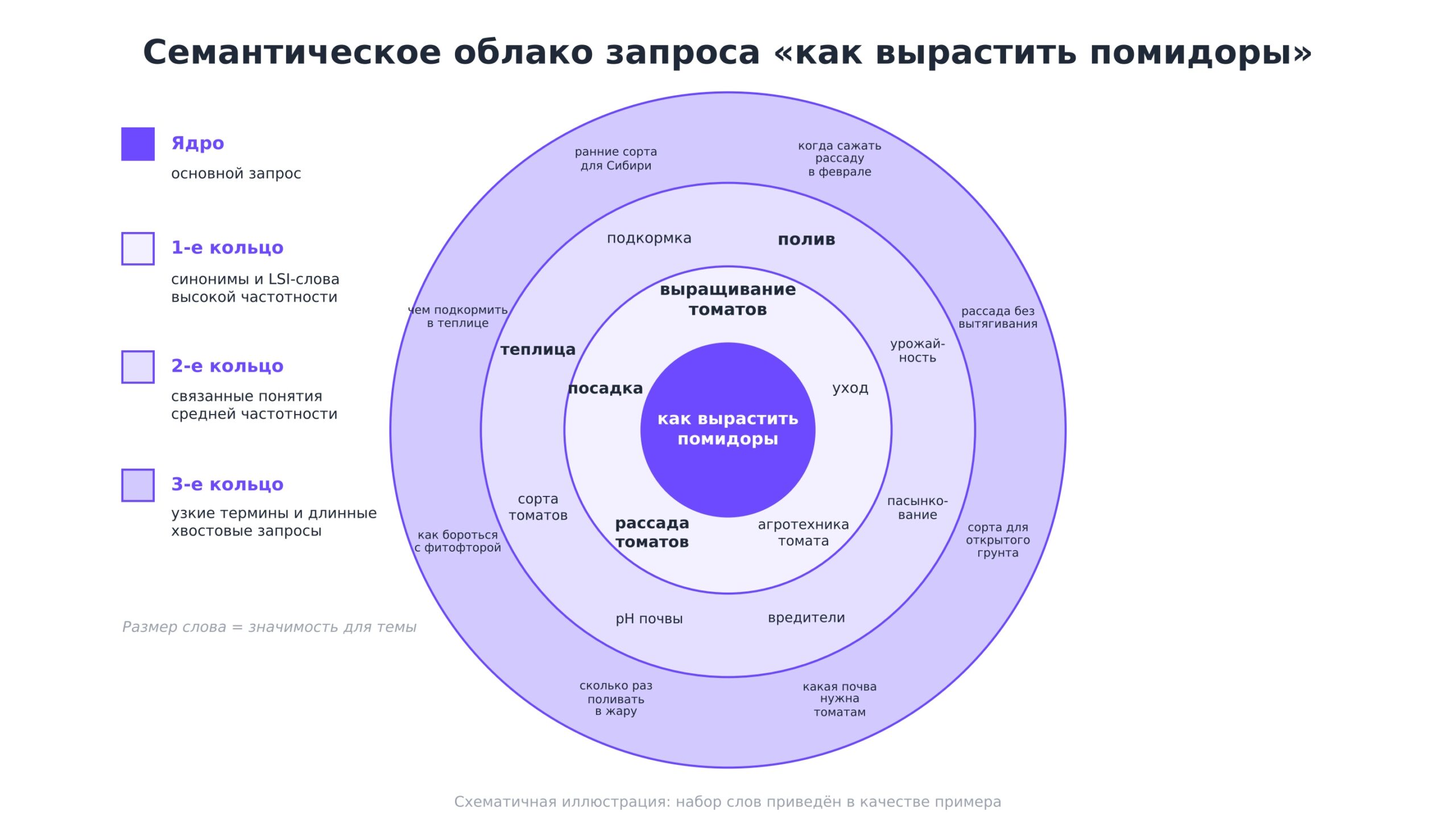 Семантическое облако запроса «как вырастить помидоры»: ядро, кольца синонимов, связанных понятий и длинных запросов